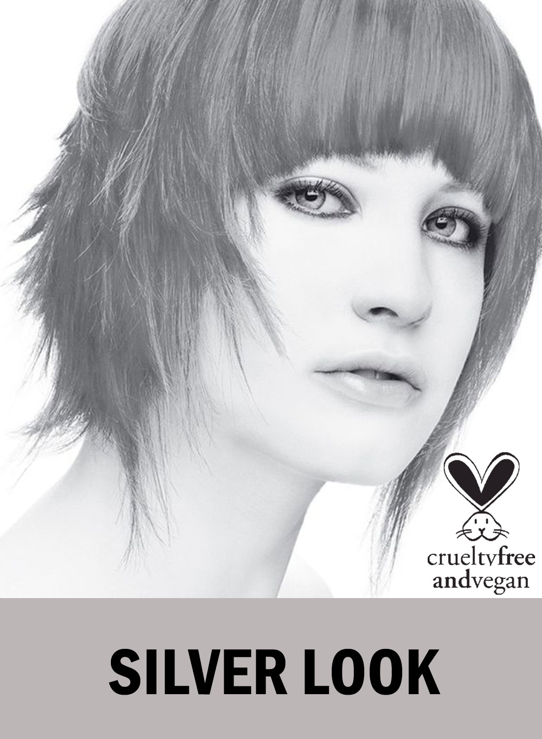 Hårfarve Stjerne Sølv Look
